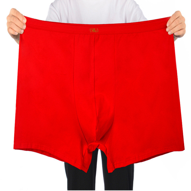 Pure Cotton Underwear Men Over - đánh giá và giá Boxer Brief Pack Cotton